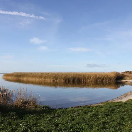 Apartamento Strandkiefer Saal