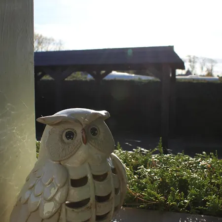 Strandkiefer Apartamento Saal